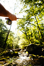 fly fishing monogahela stream