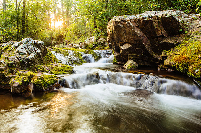 monogahela stream view